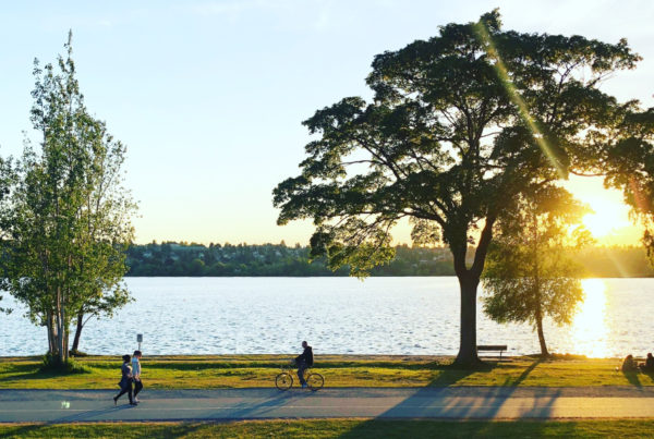 people walking and biking along water with trees at sunset