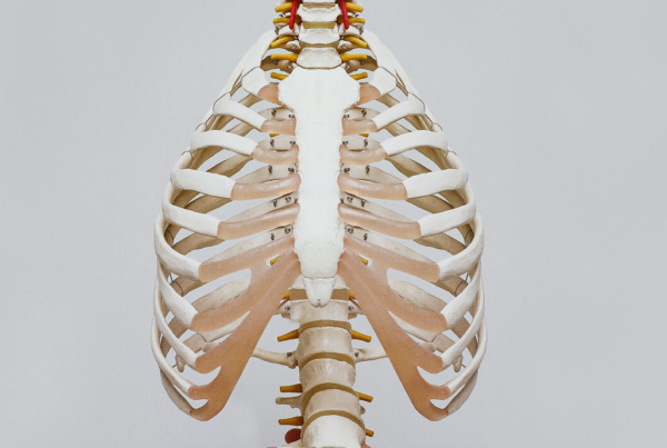 skeletal ribs